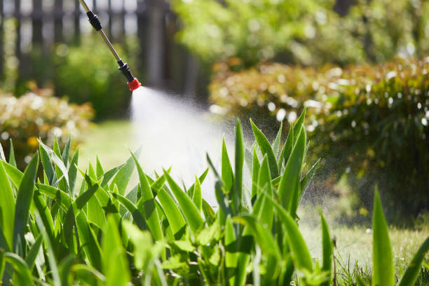 24/7 Emergency Mosquito Control experts in Kinsley, KS