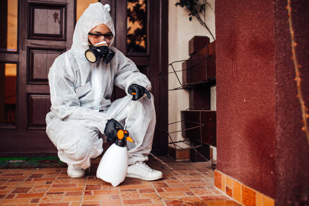 Reliable Mosquito Control contractor in Kinsley, KS by Show Me Pest Control