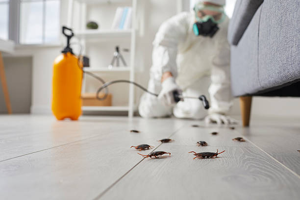 Affordable Mosquito Control solutions in Kinsley, KS