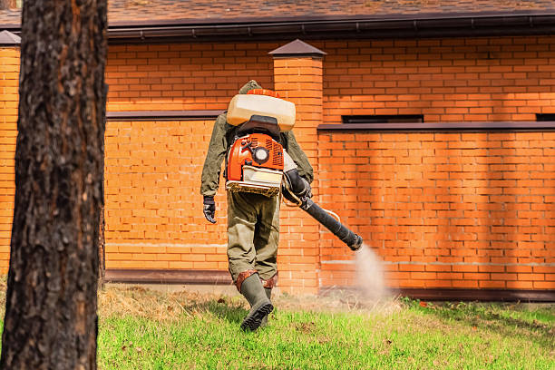 Top rated local Mosquito Control specialists in Kinsley, KS